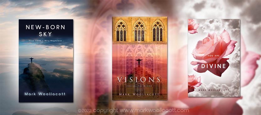 Books by author Mark Woollacott