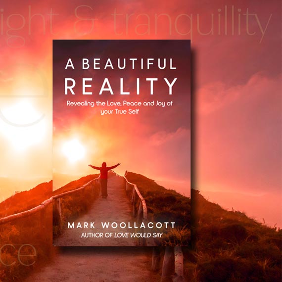 A Beautiful Reality book by author Mark Woollacott