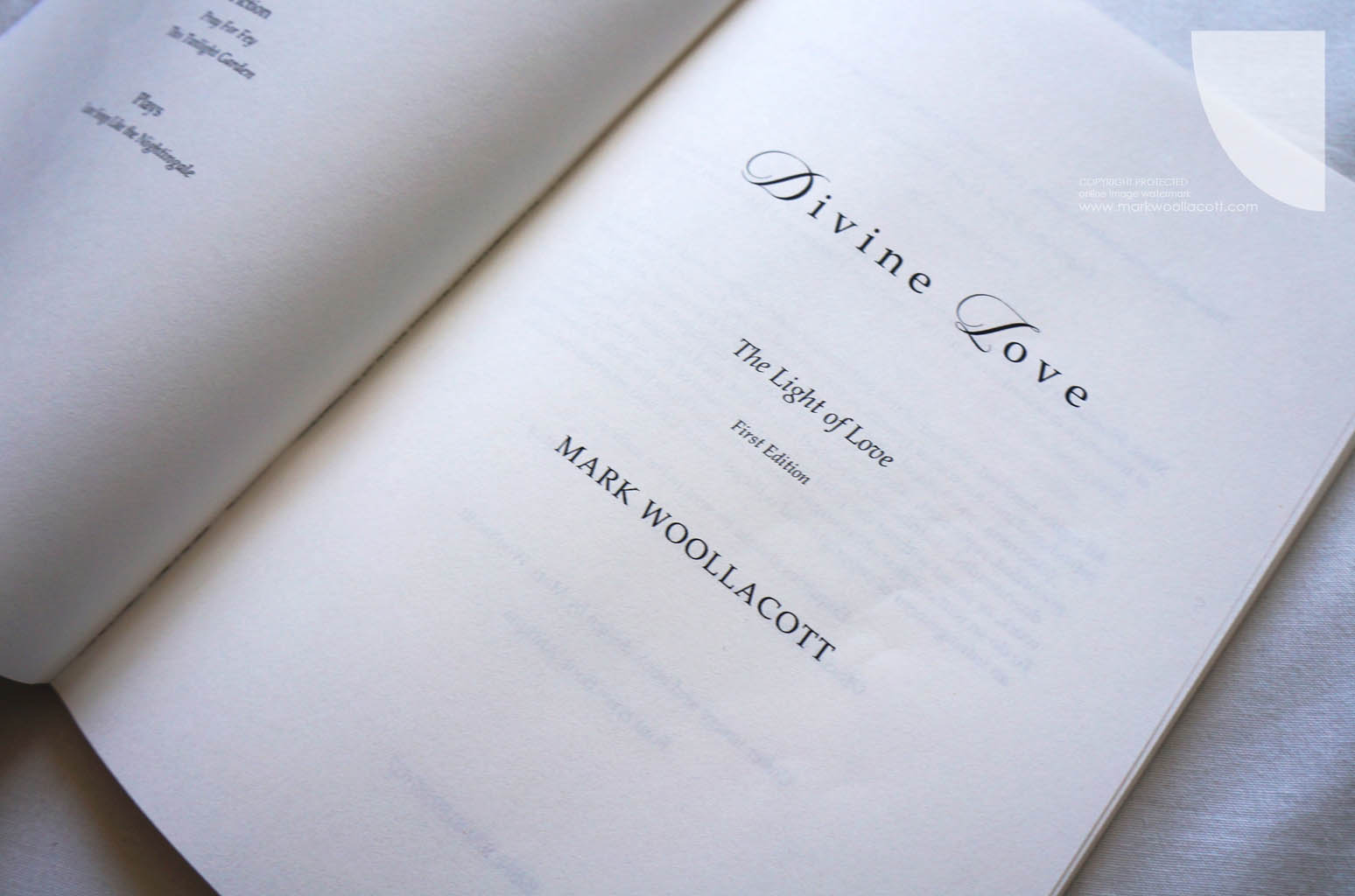 Title page of Divine Love book by author Mark Woollacott