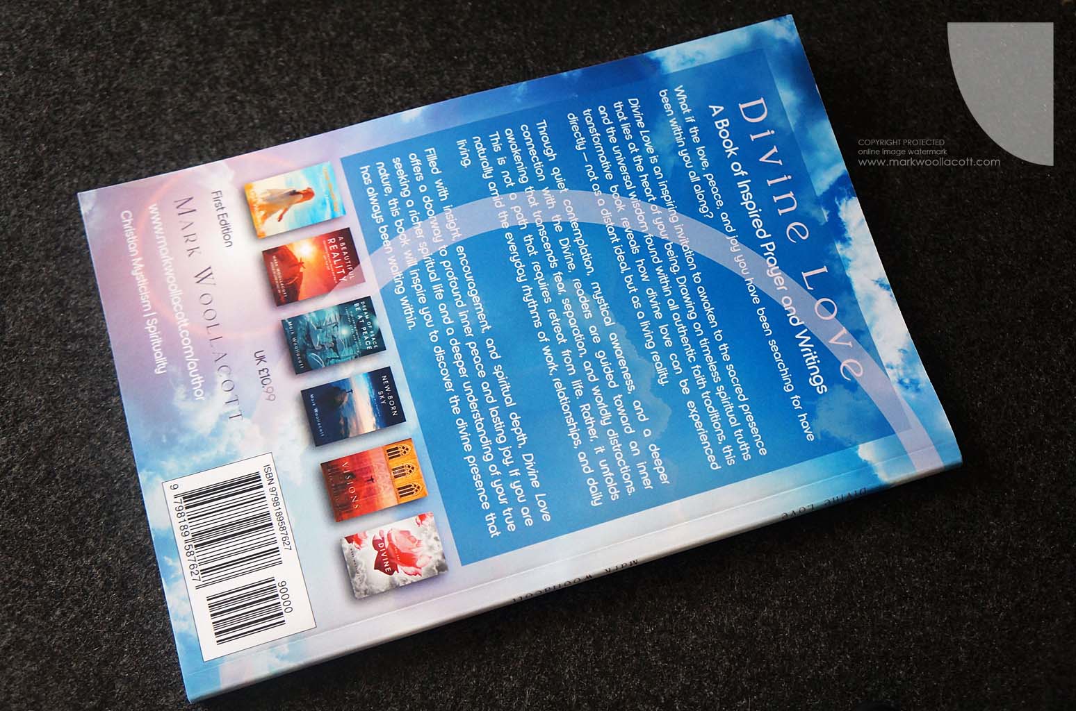 rear cover of Divine Love book