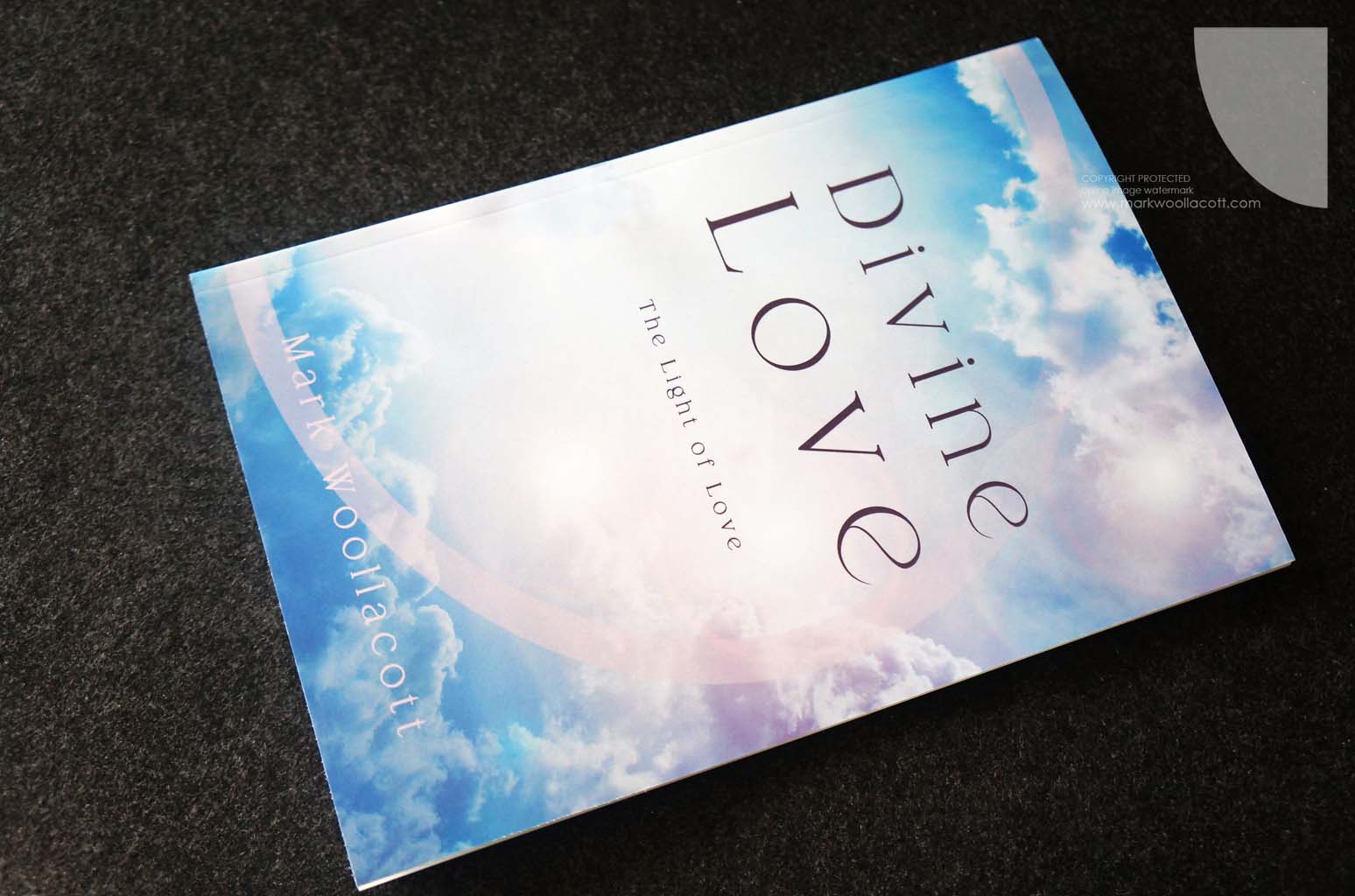 front cover of Divine Love by Mark Woollacott