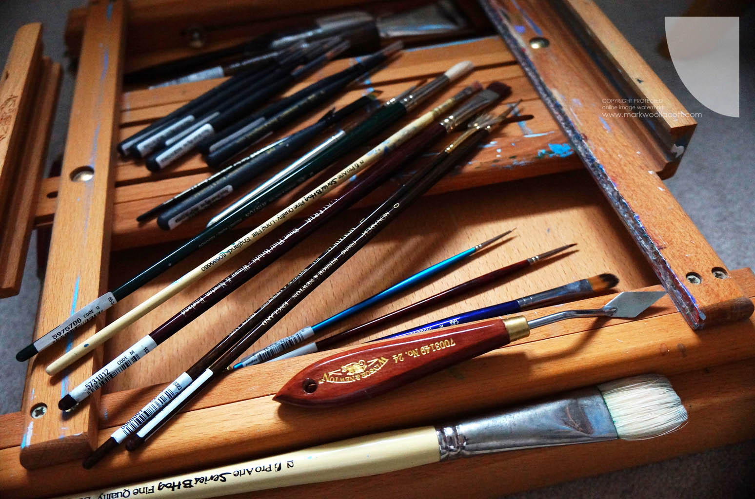 a selection of art brushes used by artist Mark Woollacott